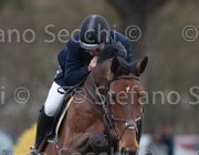 Le Jeune Vikali TosTour 2013- S4 6800 : Arezzo Equestrian Centre, Le Jeune Philippe, Toscana Tour 2013, Vikali de L'Eribus, foto di Stefano Secchi ©